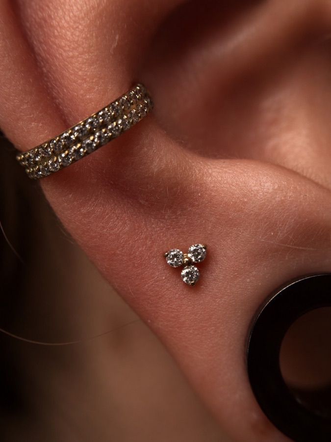Conch
