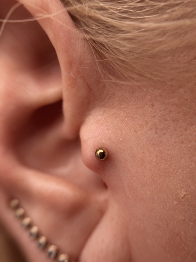 Tragus